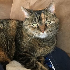 Meet your Posher, Londa